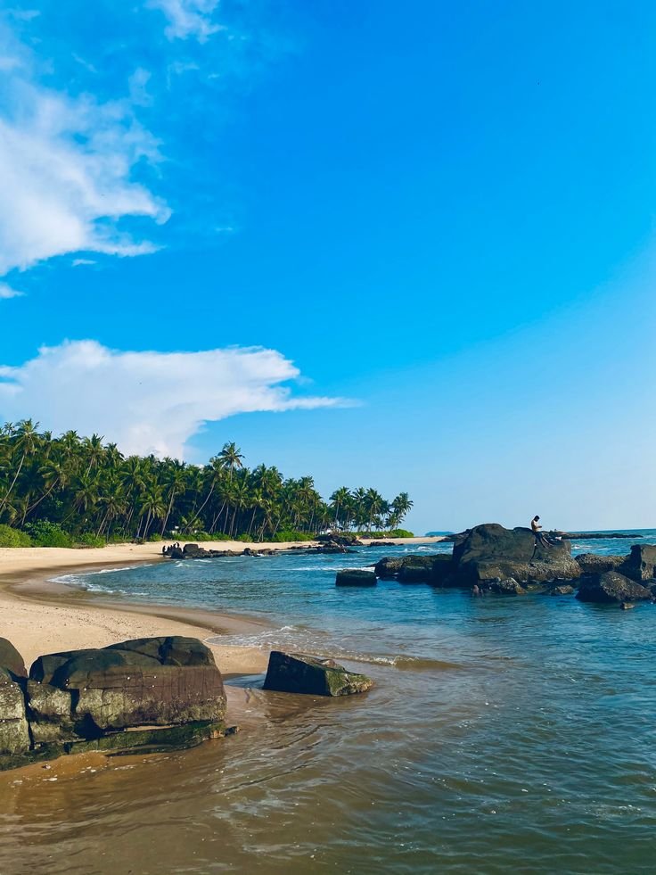 Tourists enjoying Kerala backwaters, Munnar tea gardens, and wildlife safari during 6 days Kerala trip.